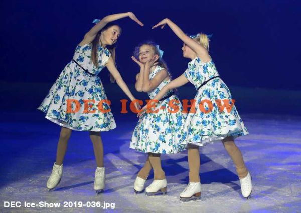 DEC Ice-Show 2019-036.jpg
