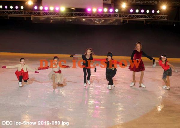 DEC Ice-Show 2019-060.jpg