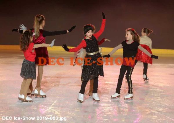 DEC Ice-Show 2019-063.jpg