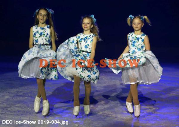 DEC Ice-Show 2019-034.jpg