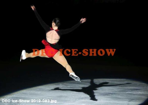 DEC Ice-Show 2019-083.jpg