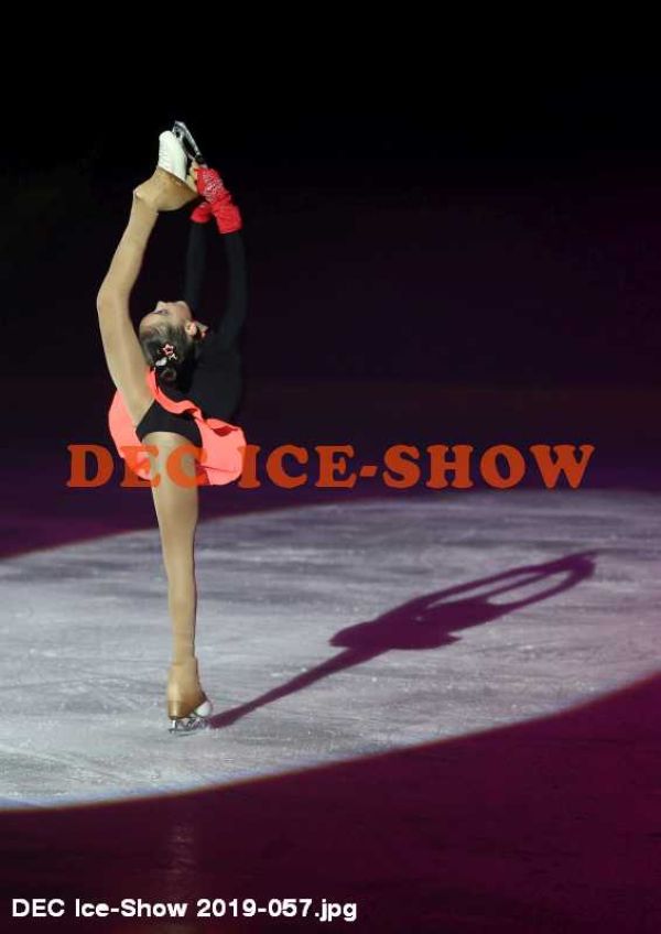 DEC Ice-Show 2019-057.jpg