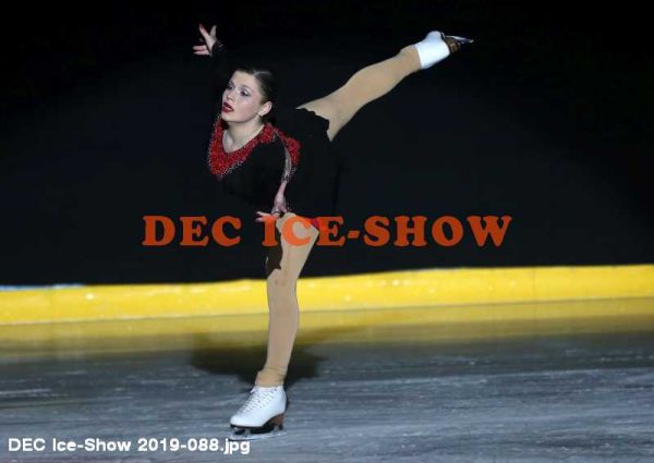 DEC Ice-Show 2019-088.jpg