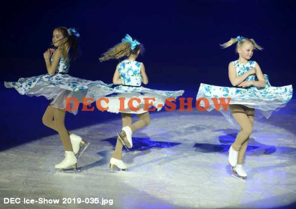 DEC Ice-Show 2019-035.jpg
