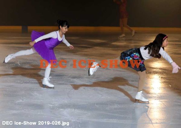 DEC Ice-Show 2019-026.jpg