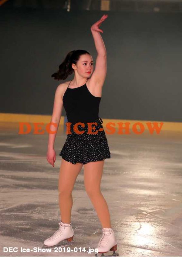 DEC Ice-Show 2019-014.jpg