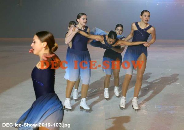 DEC Ice-Show 2019-103.jpg