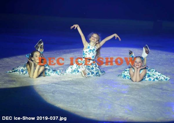 DEC Ice-Show 2019-037.jpg