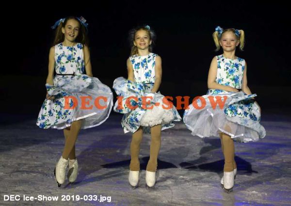 DEC Ice-Show 2019-033.jpg
