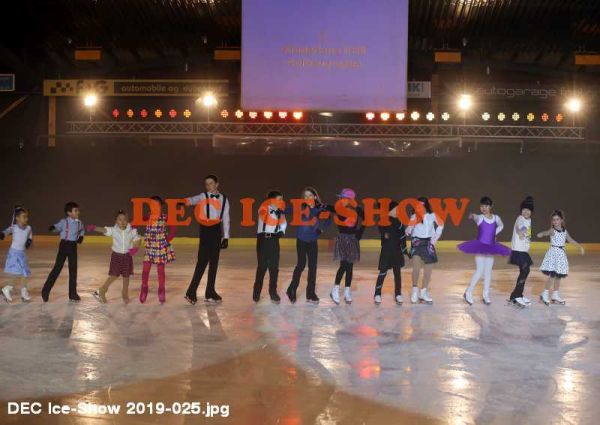 DEC Ice-Show 2019-025.jpg