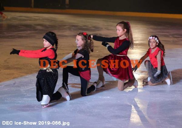 DEC Ice-Show 2019-066.jpg