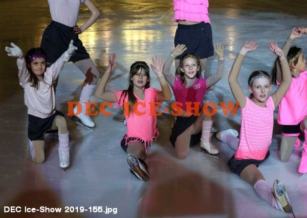 DEC Ice-Show 2019-155.jpg