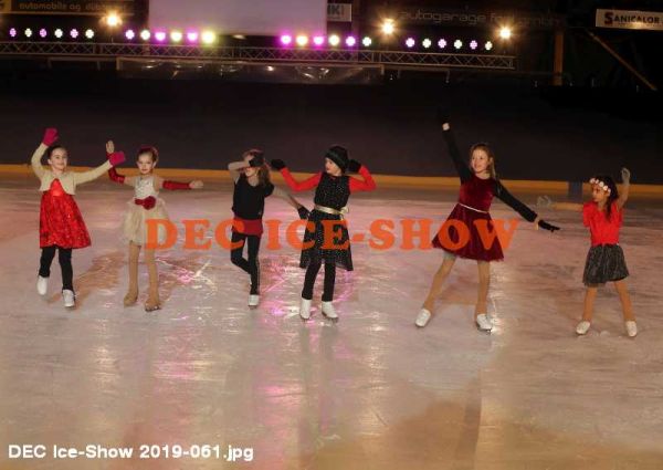 DEC Ice-Show 2019-061.jpg