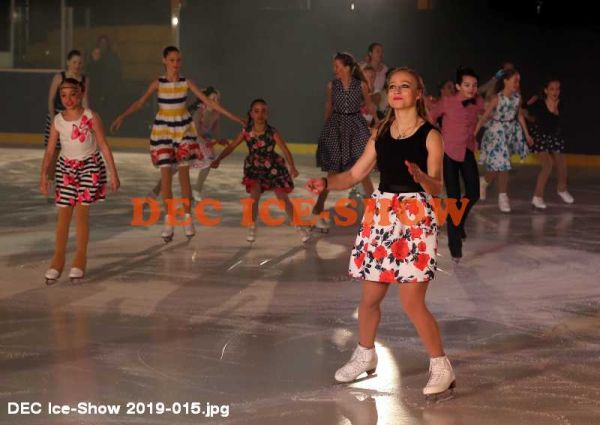 DEC Ice-Show 2019-015.jpg