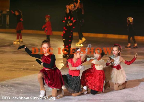 DEC Ice-Show 2019-067.jpg