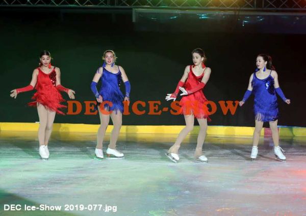 DEC Ice-Show 2019-077.jpg